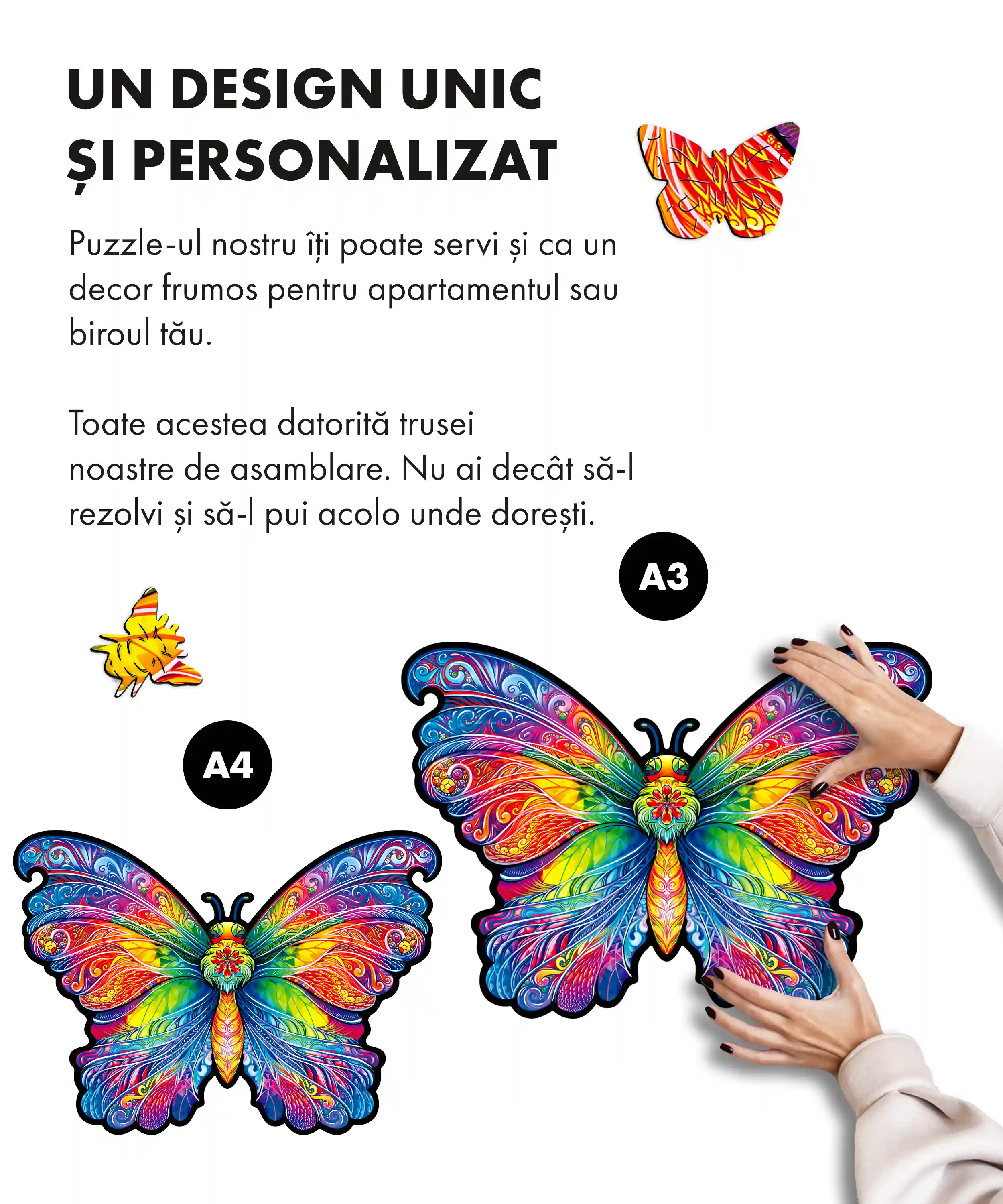 Fluturele curcubeu