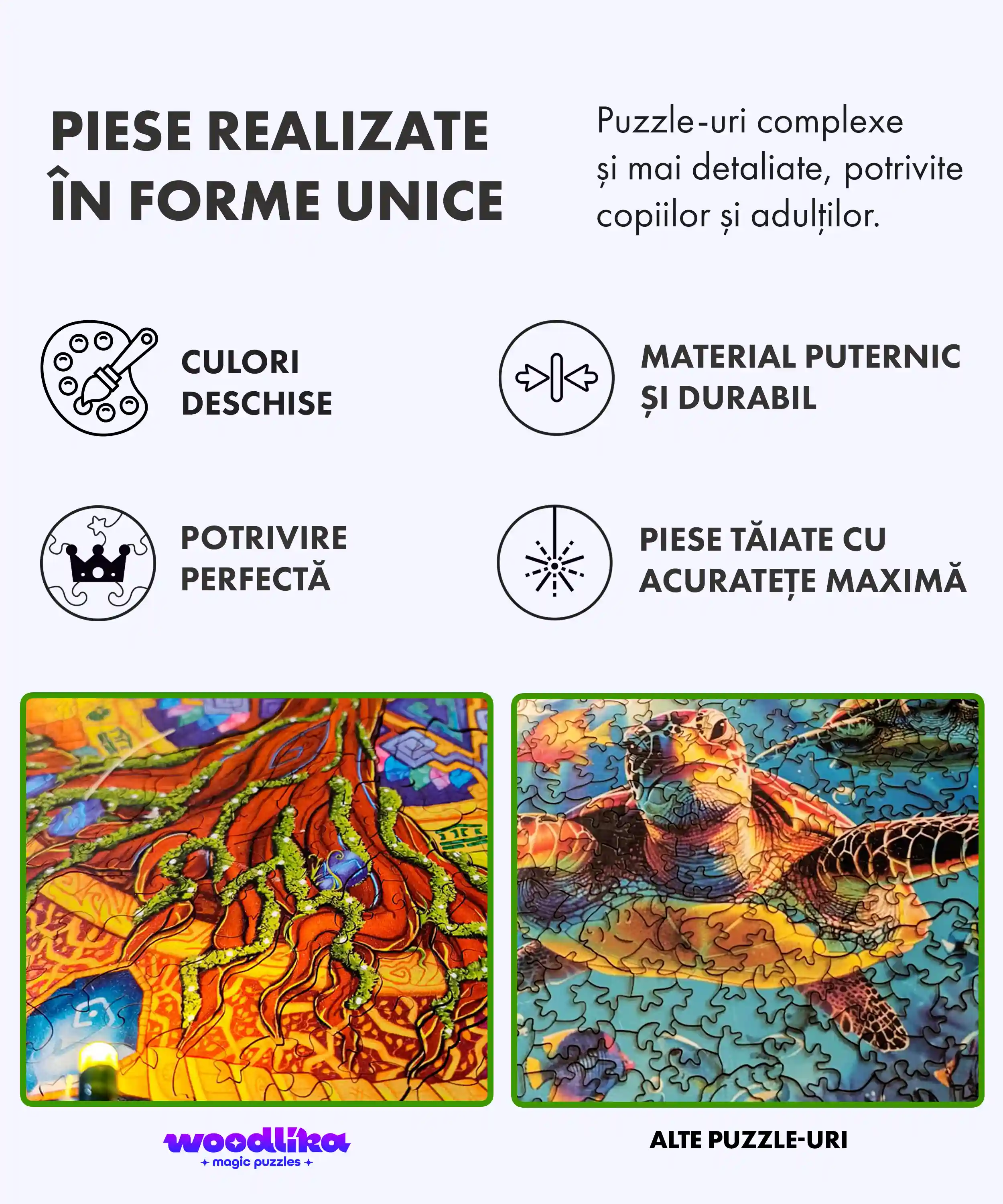 Fluturele curcubeu