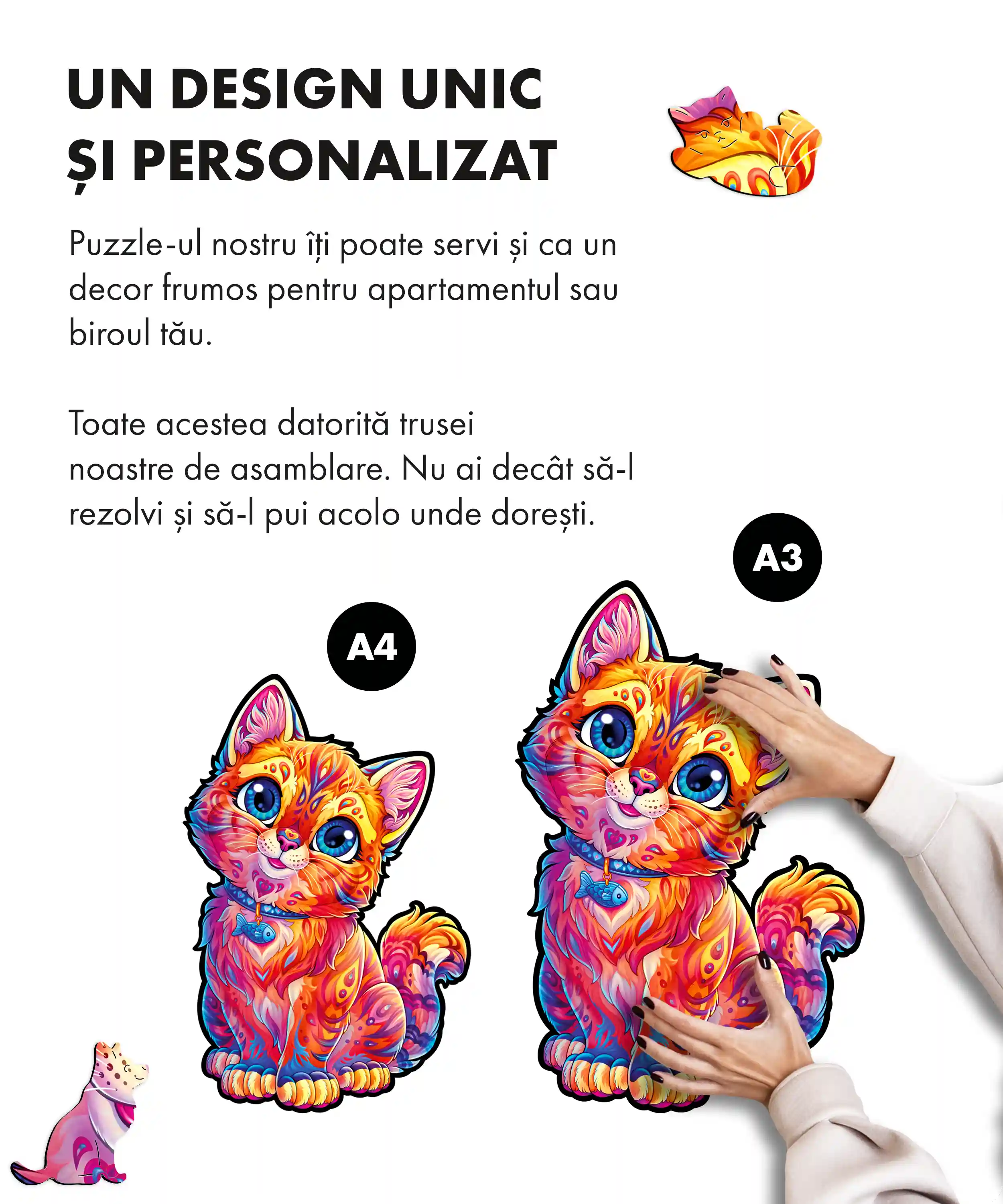 Pisicuță drăguță